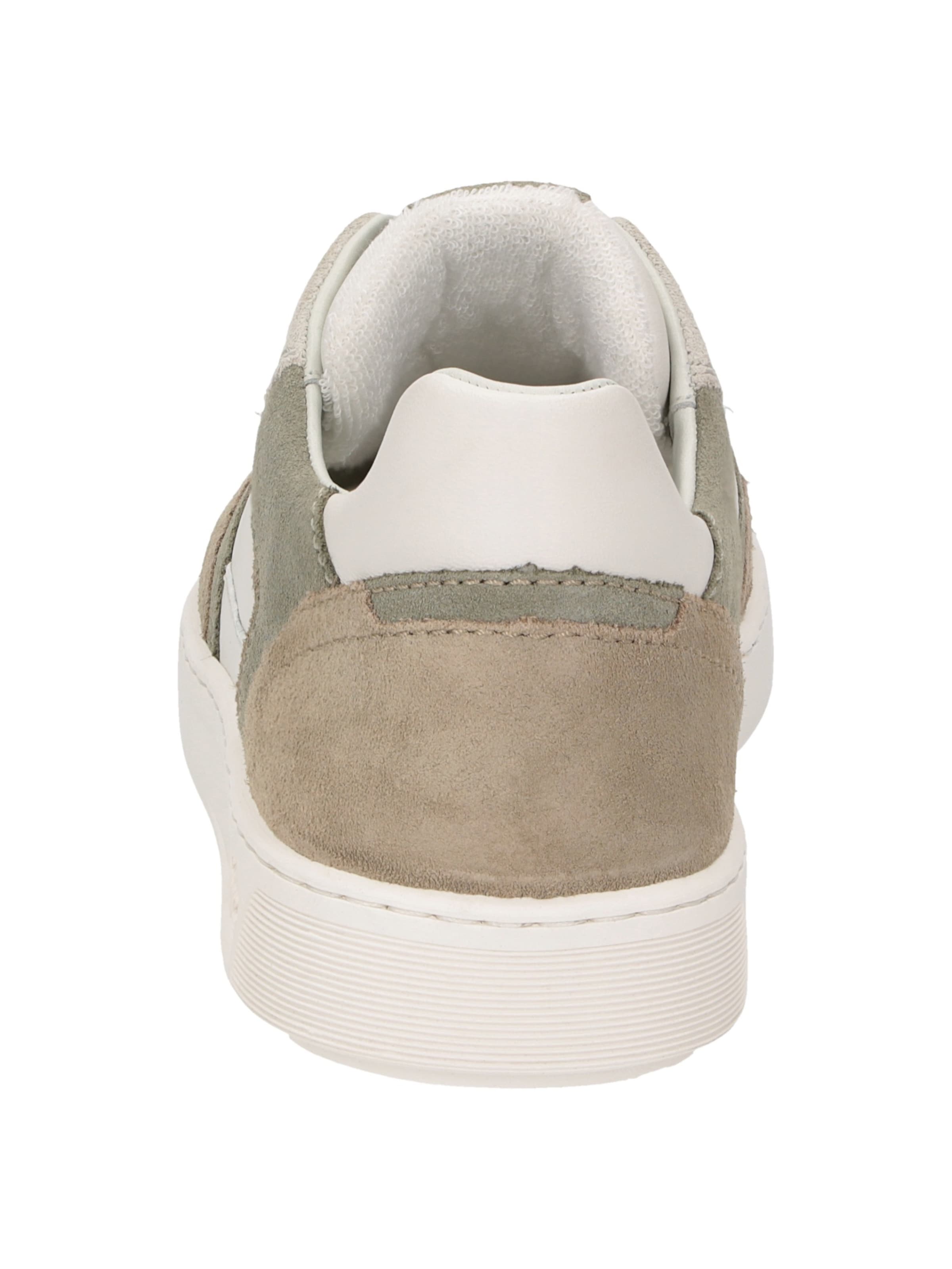 Baskets basses 'Tedroso-704' SIOUX en gris