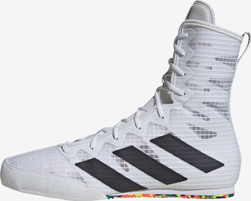 Chaussure de sport ' Box Hog 4' ADIDAS PERFORMANCE en blanc : devant