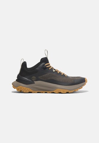 Sneaker bassa di TIMBERLAND in marrone