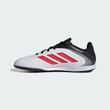Chaussure de sport 'Copa Pure 3 Club' ADIDAS PERFORMANCE en blanc : devant