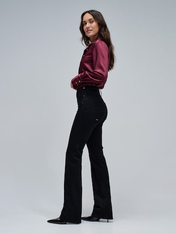 Salsa Jeans Flared Jeans 'Secret' in Schwarz