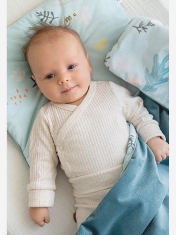Luli Lu Babydeken 'Fisch' in Blauw: voorkant