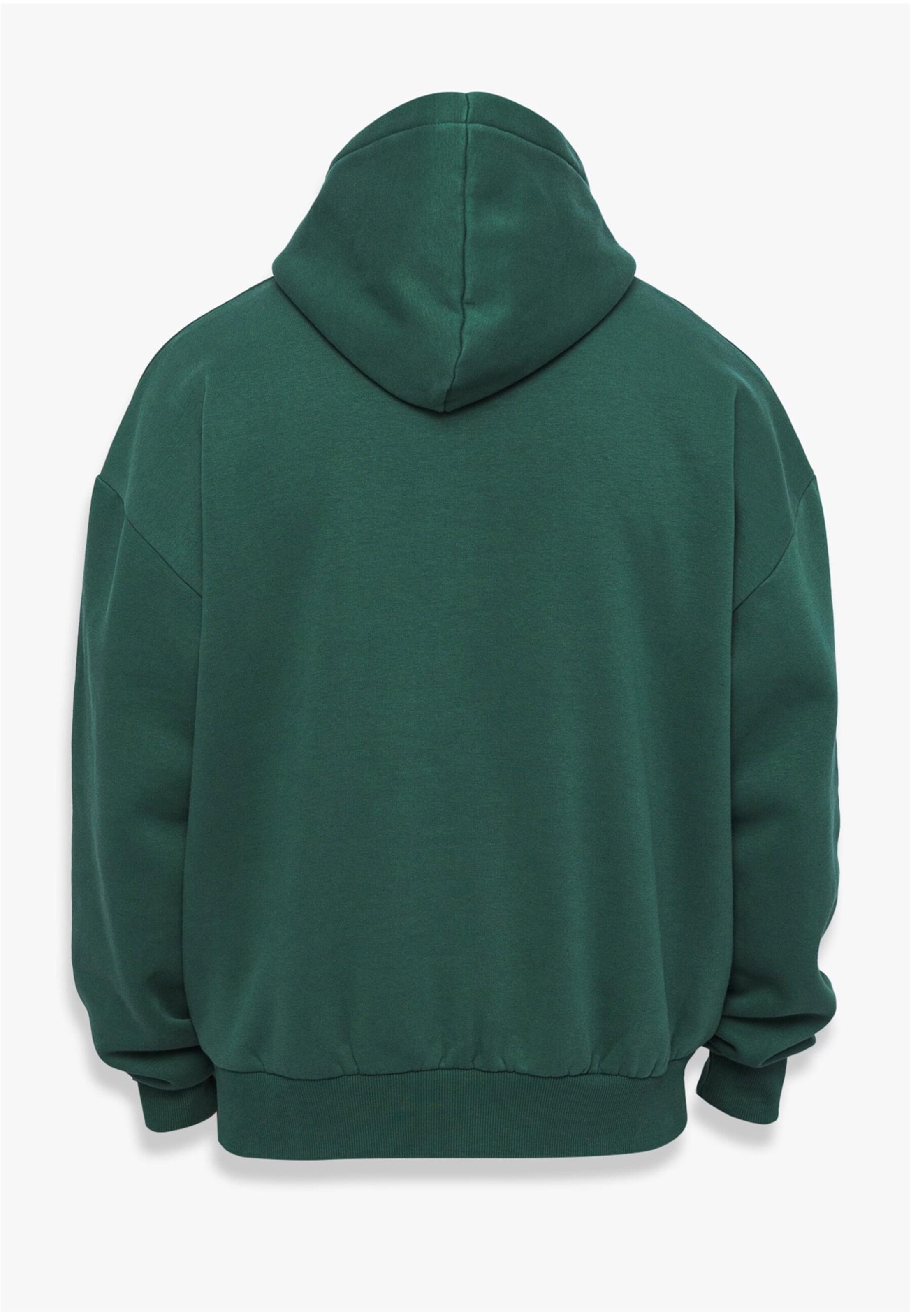 Dropsize Sweatshirt in Grün