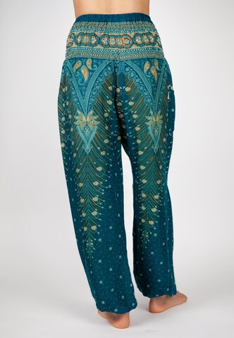 Paigh Regular Harem Pants in Blue