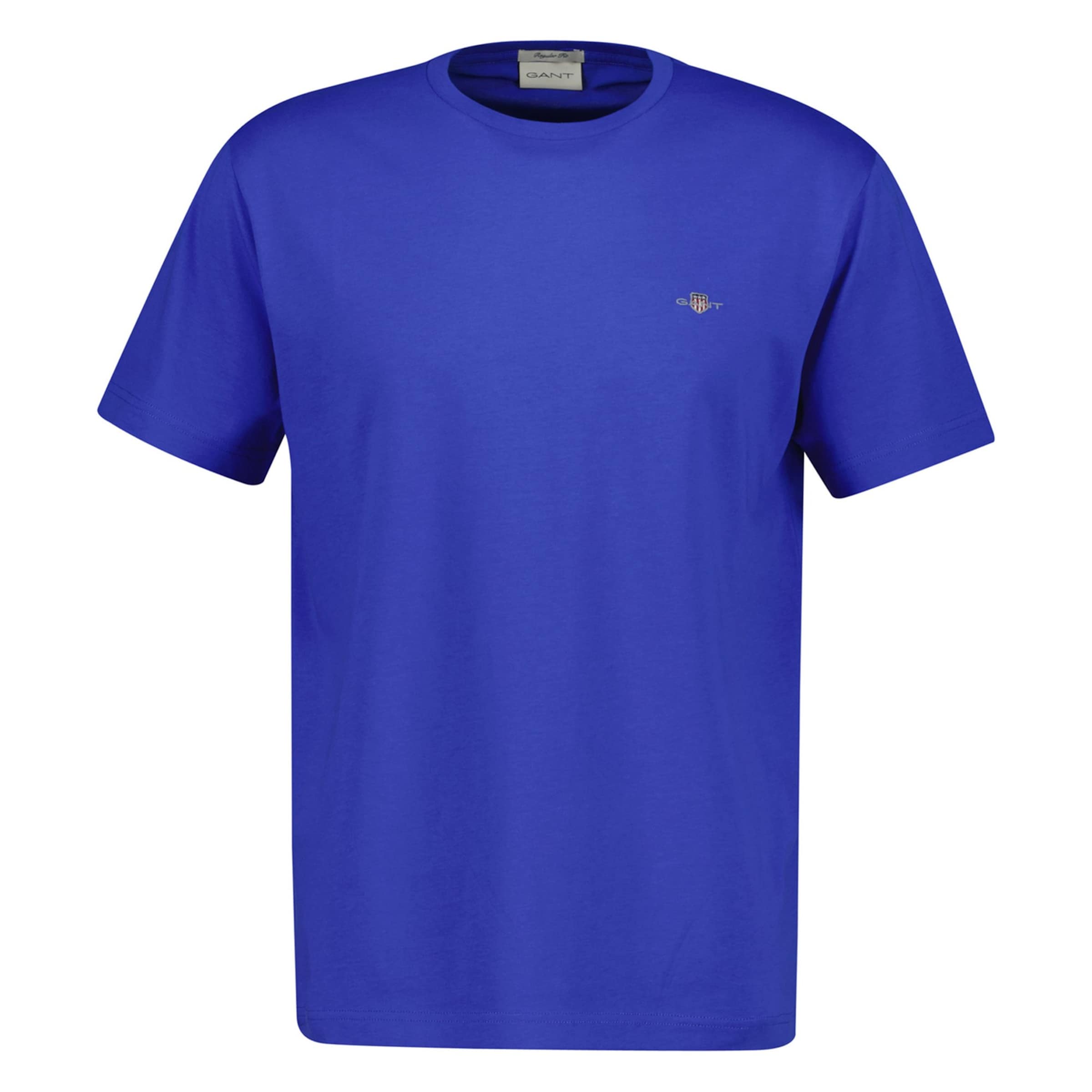 GANT Shirt in Blue: front