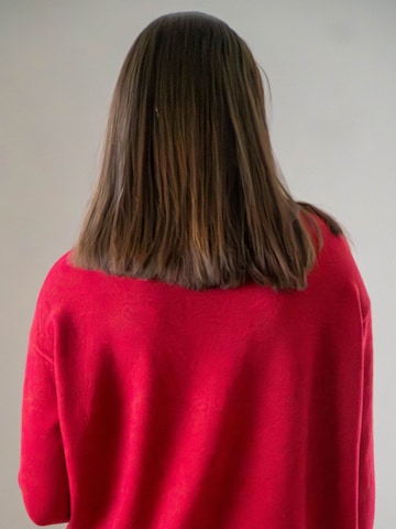 WEARABLE STORIES Pullover 'Riske' in Rot
