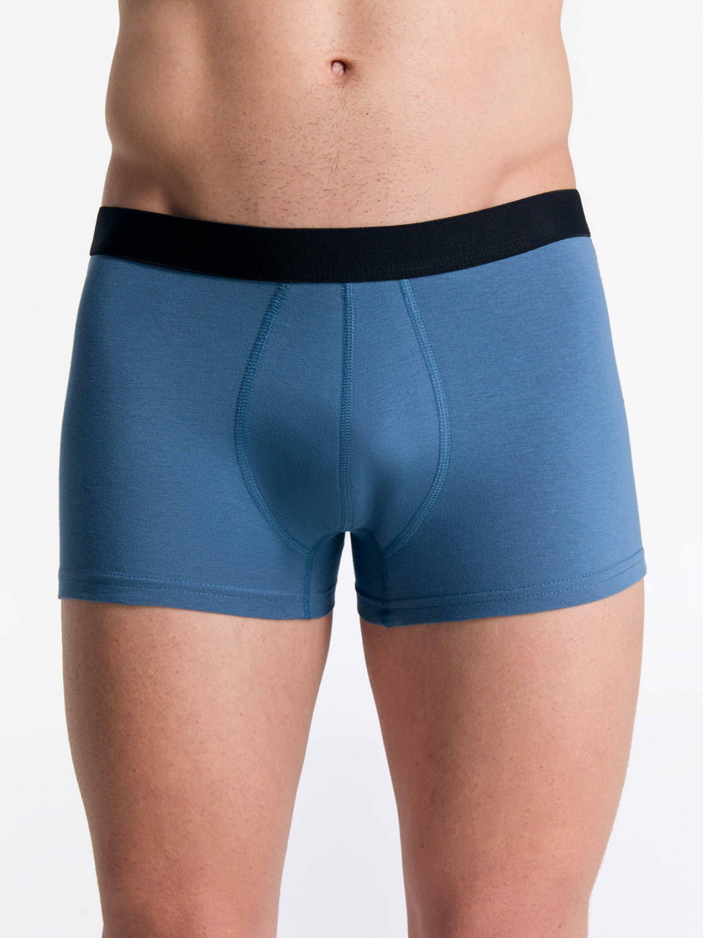 Albero Natur Boxer shorts 'Herren Trunkshorts aus Bio-Baumwolle' in Grey: front