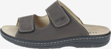 Longo Mules in Grey