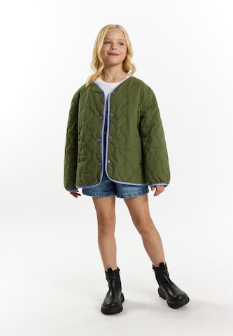 DREIMASTER Демисезонная куртка в Зеленый