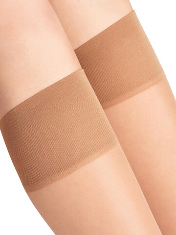 FALKE Knee High Socks 'Pure Matt' in Yellow