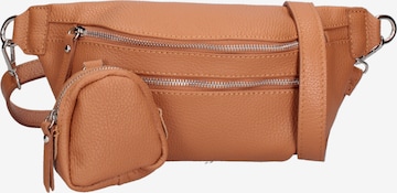 Roberta Rossi Fanny Pack in Brown: front
