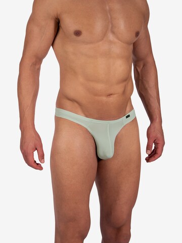 Olaf Benz Panty ' RED2382 Ministring ' in Green: front