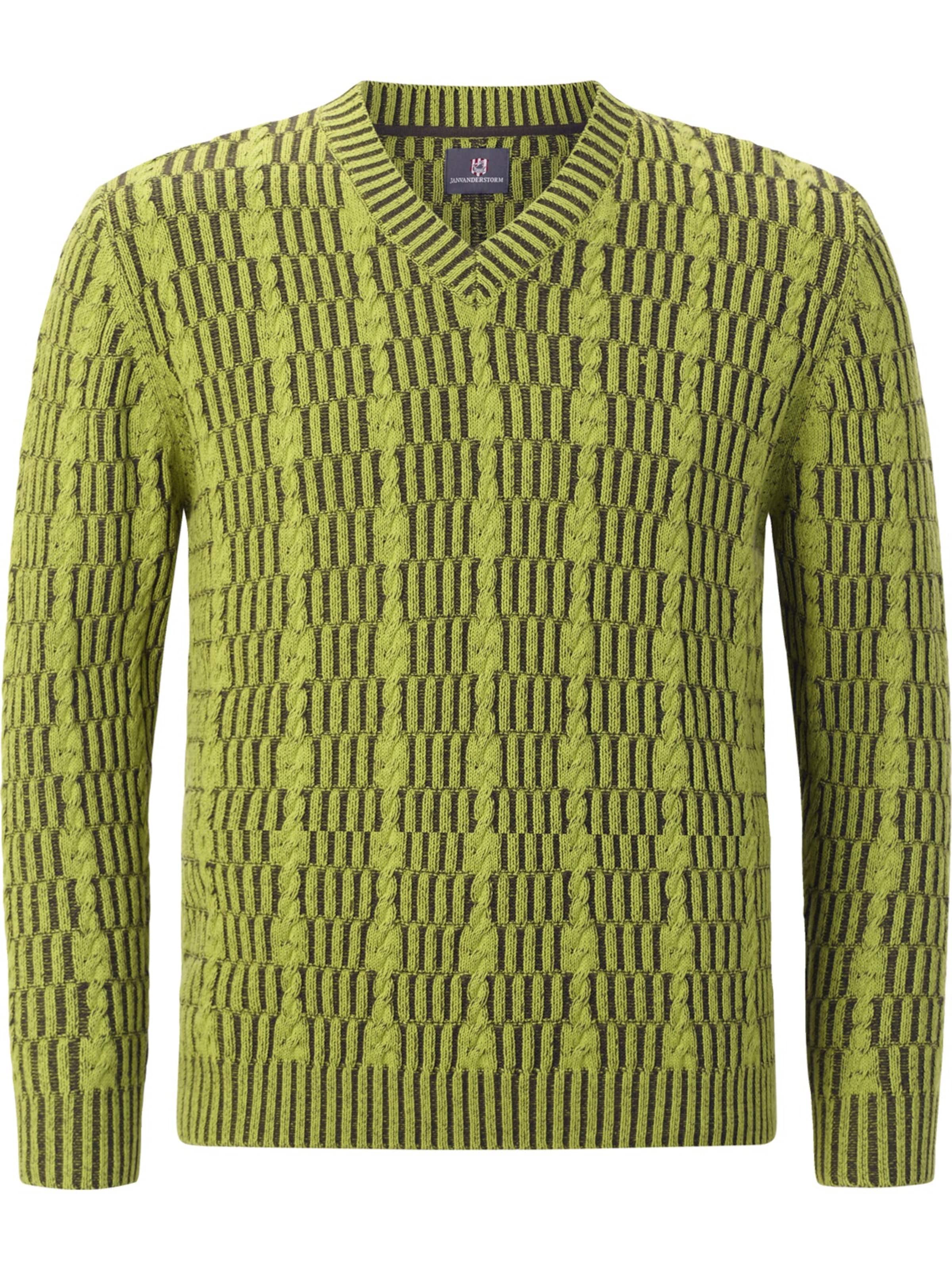 Jan Vanderstorm Pullover 'Akselheim ' in Grün: Vorderseite