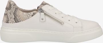 GABOR Sneakers in White