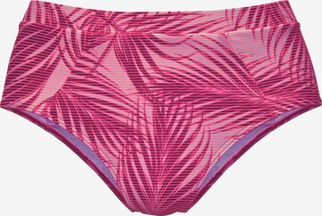 LASCANA ACTIVE Bikini Bottoms in Pink: front