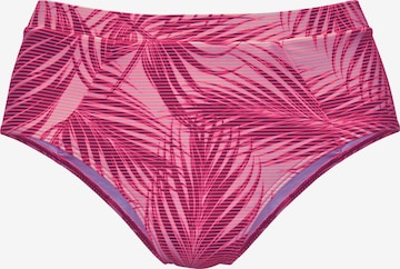 LASCANA ACTIVE Bikinihose in Pink: predná strana