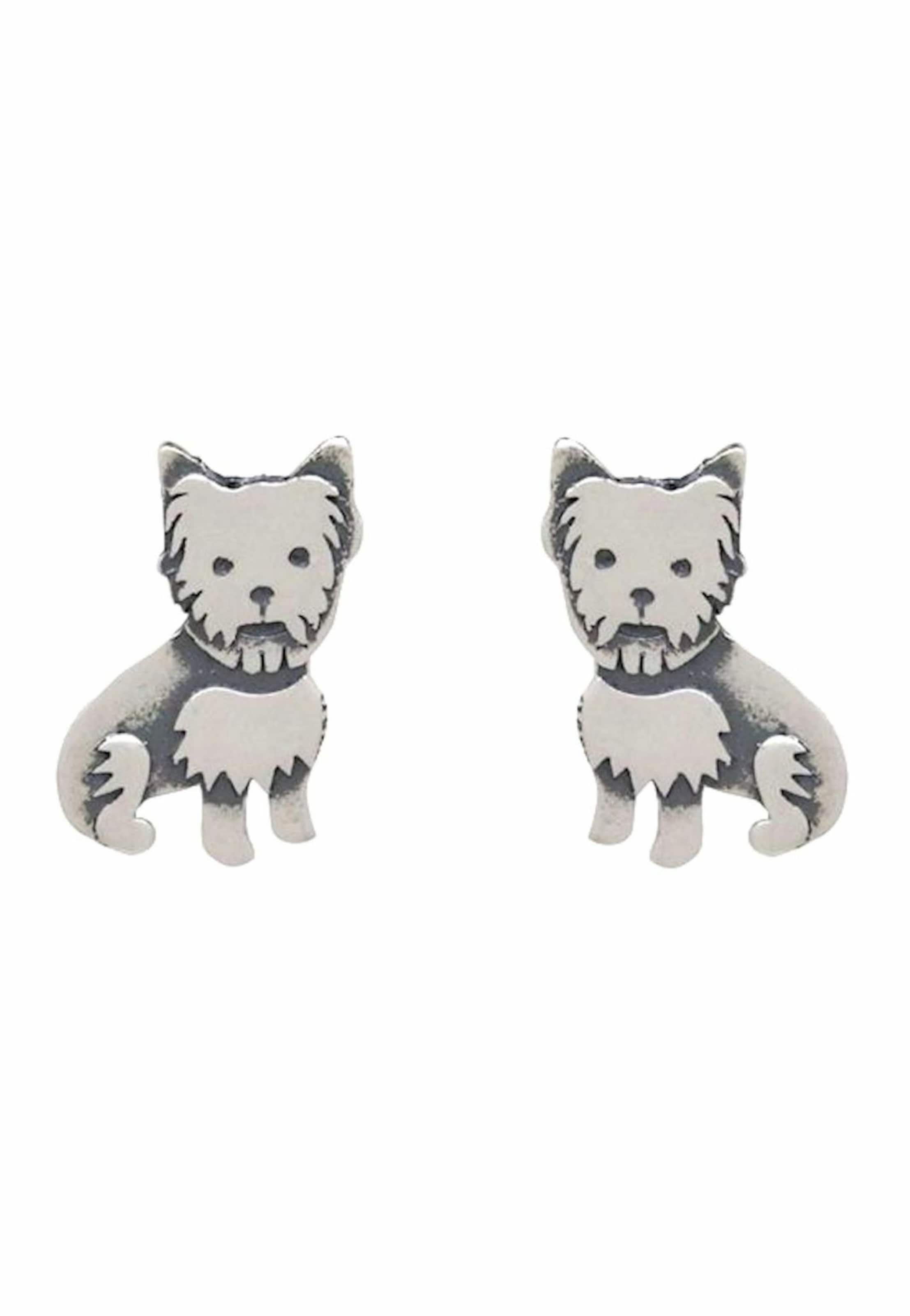 Gemshine Oorbellen in Zilver: voorkant