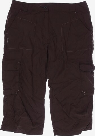Quechua Pants in L in Brown: front