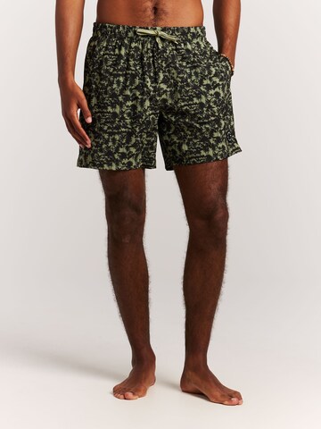 PROTEST Badeshorts 'PRTOwston'‌‌‌‌‌‌ in Grün