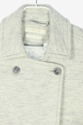 OPUS Jacket & Coat in M in Grey