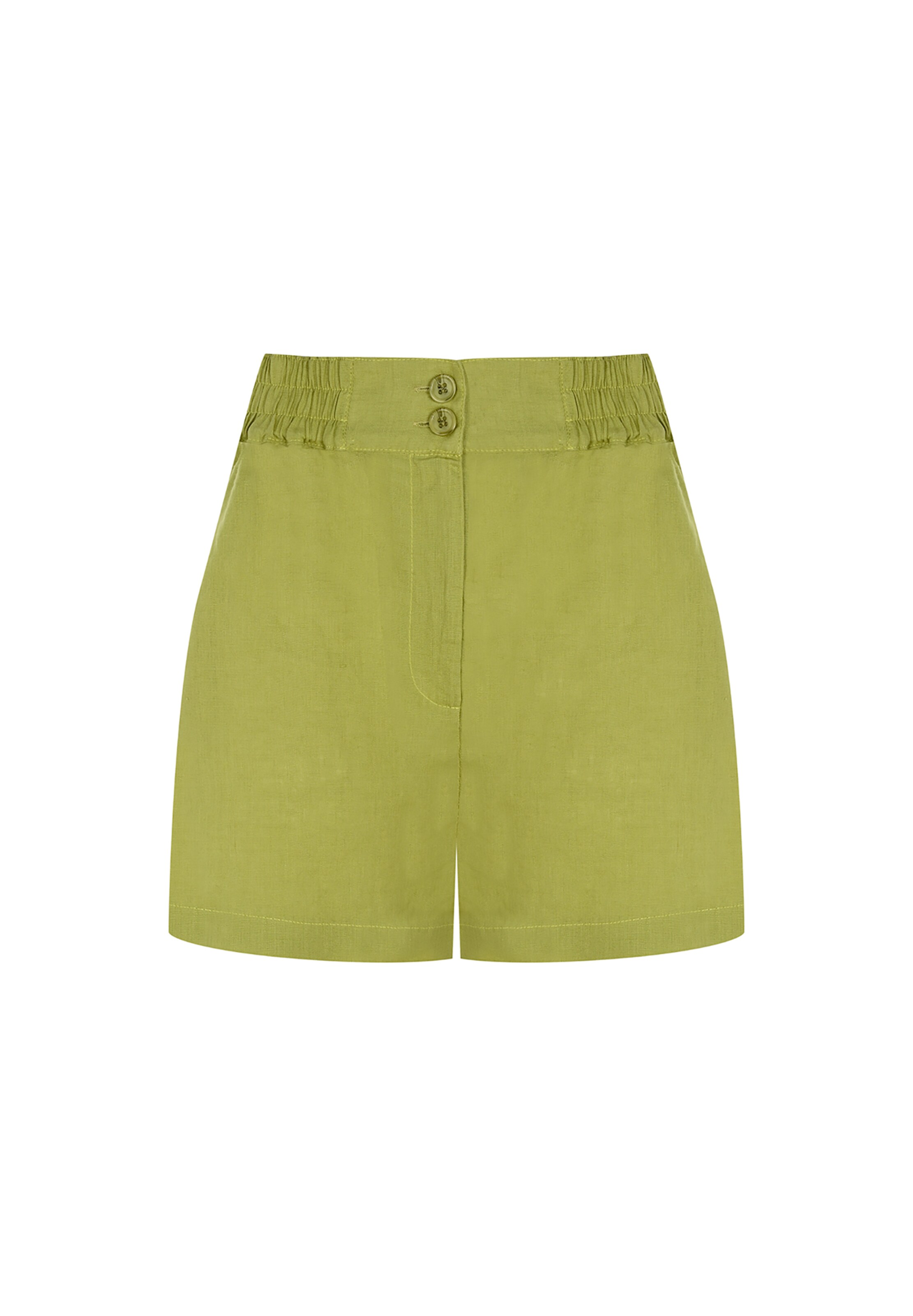 FRESHLIONS Regular Shorts in Grün: Vorderseite