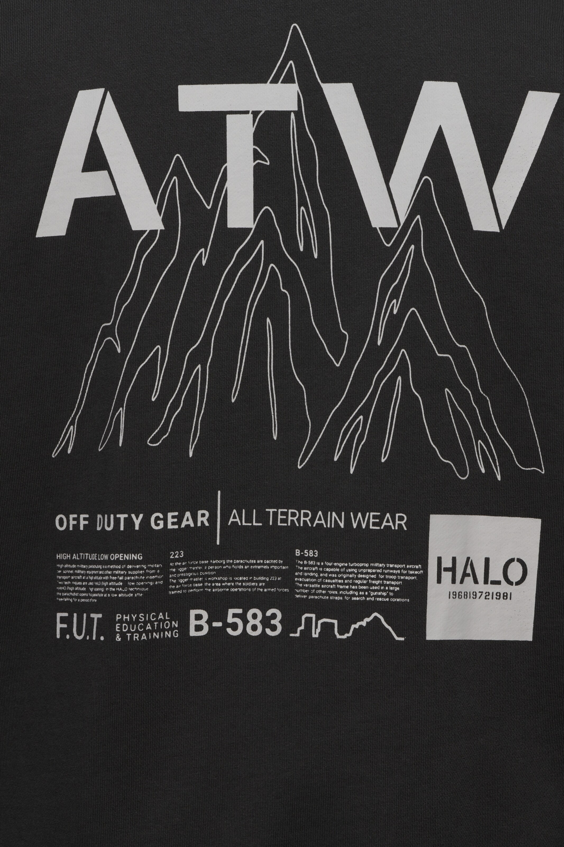 HALO Sweatshirt in Grau