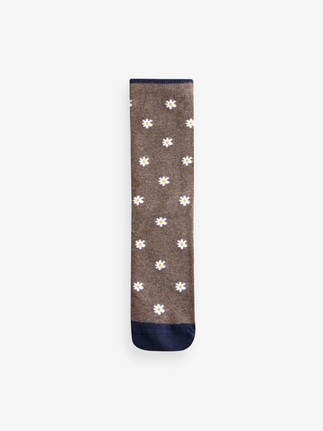 Chaussettes Next en mélange de couleurs