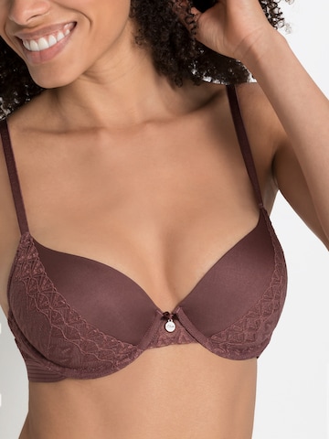 s.Oliver Push-up Bra in Brown: front