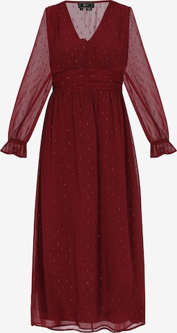 faina Kleid in Rot: Vorderseite