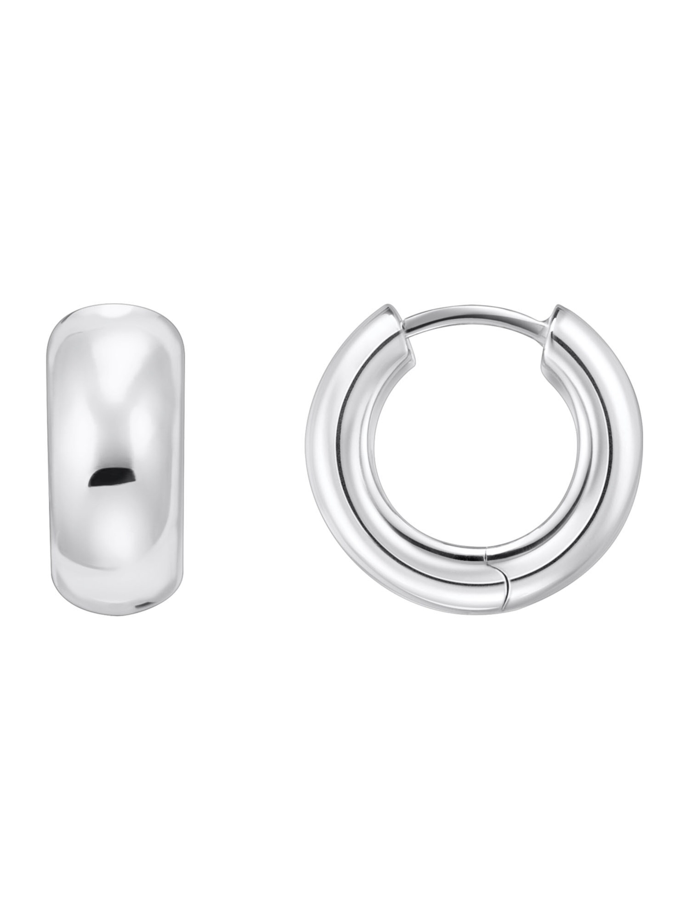 Thomas Sabo Earrings in Silver: front