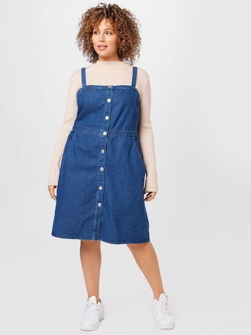 Dorothy Perkins Curve Shirt Dress in Blue: front