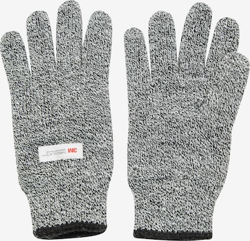 Whistler Sports gloves 'Tihol' in Grey: front