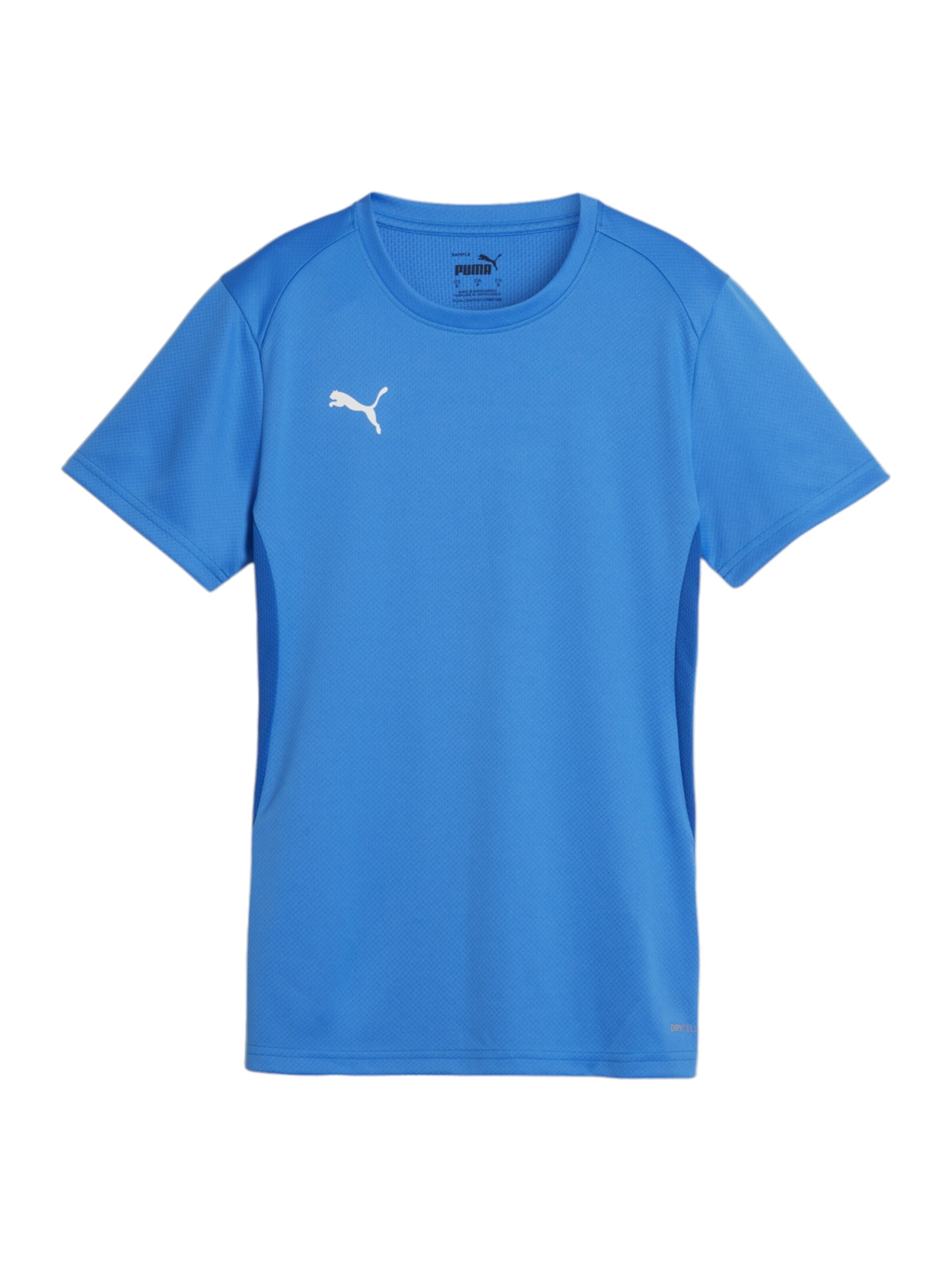 PUMA Funktionsshirt 'Team Goal' in Blau: Vorderseite