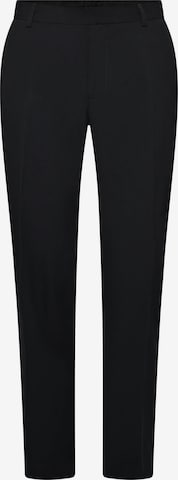 Hirschthal Trousers with creases in Blue: front