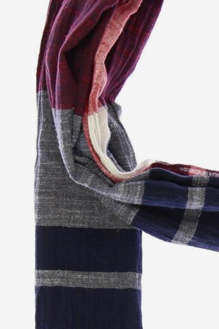 TOMMY HILFIGER Scarf & Wrap in One size in Mixed colors