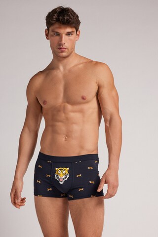 INTIMISSIMI Boxershorts in Blau