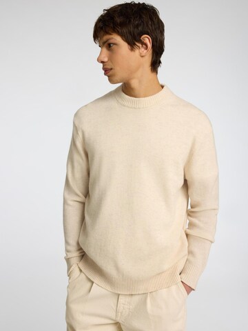 SELECTED Pullover in Beige