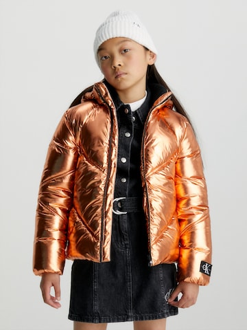 Calvin Klein Jeans Winter Jacket in Bronze: front