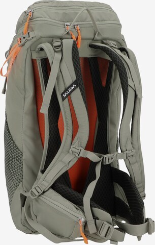 SALEWA Rucksack  'Alp Trainer 20L ' in Grün