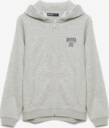 BIG STAR Zip-Up Hoodie in Grey: front