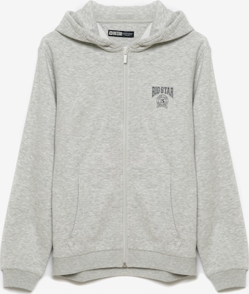 BIG STAR Zip-Up Hoodie in Grey: front