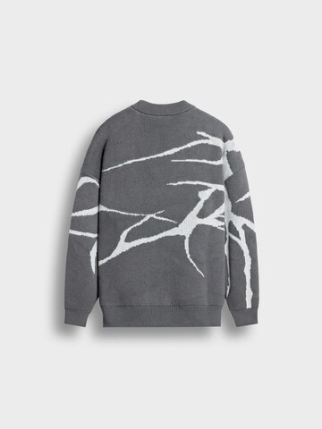 Burocs Pullover‌‌ in Grau