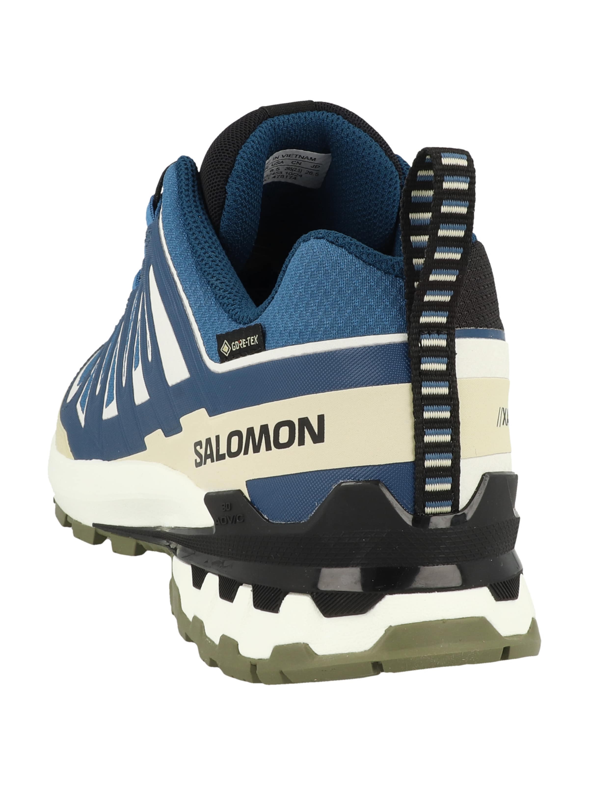 SALOMON Loopschoen 'XA Pro 3D V9' in Blauw