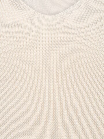 Vero Moda Petite Pullover i beige