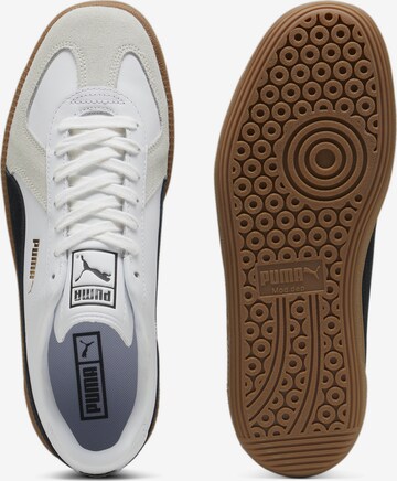 Sneaker low 'Army Trainer' de la PUMA pe alb