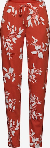 Hanro Pajama pants 'Sleep & Lounge' in Orange: front