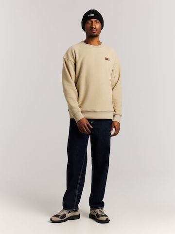 PROTEST Pullover 'PRTHawks'‌‌‌‌‌‌‌‌ in Braun