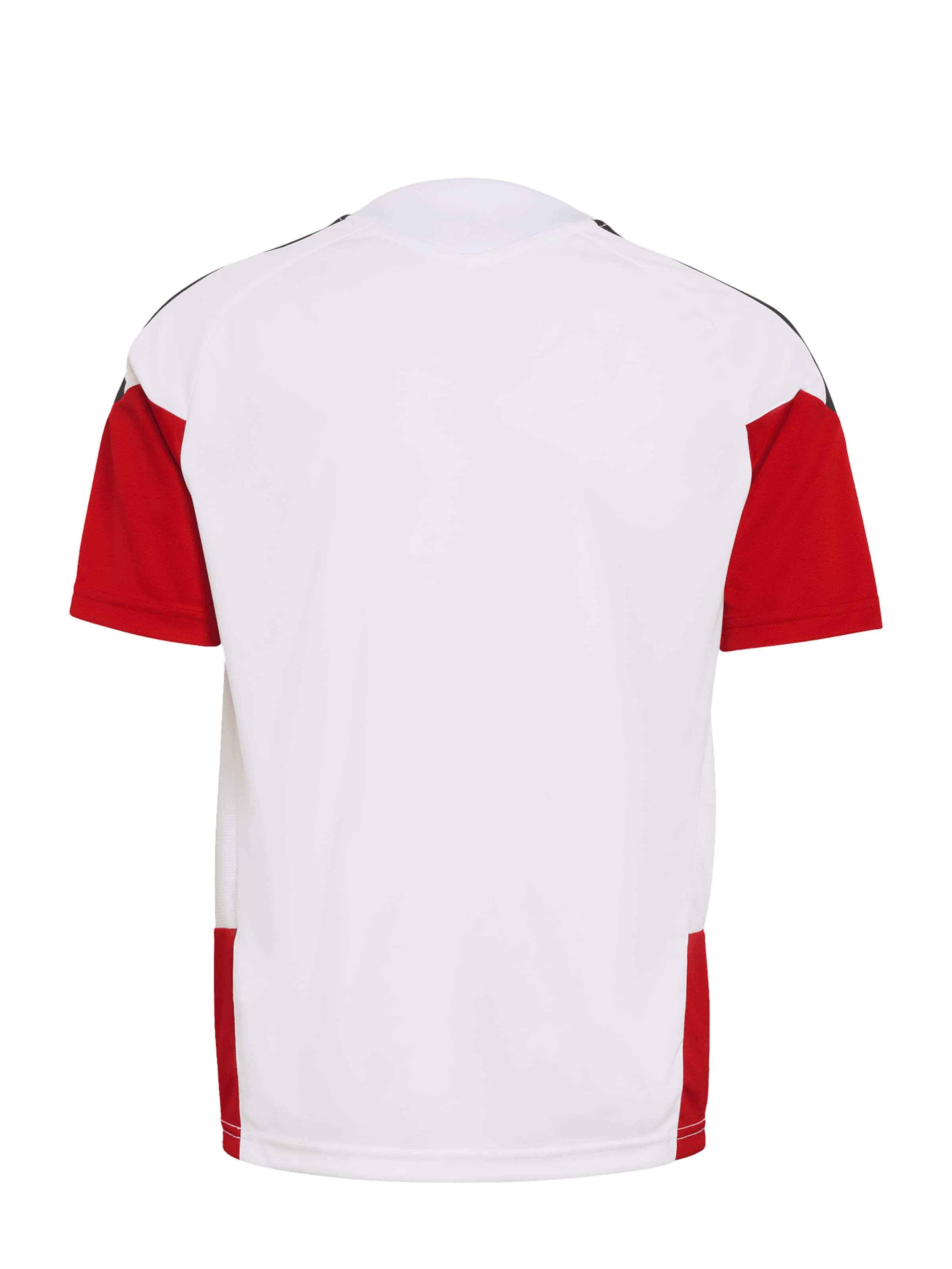 ADIDAS PERFORMANCE Μπλουζάκι σε λευκό