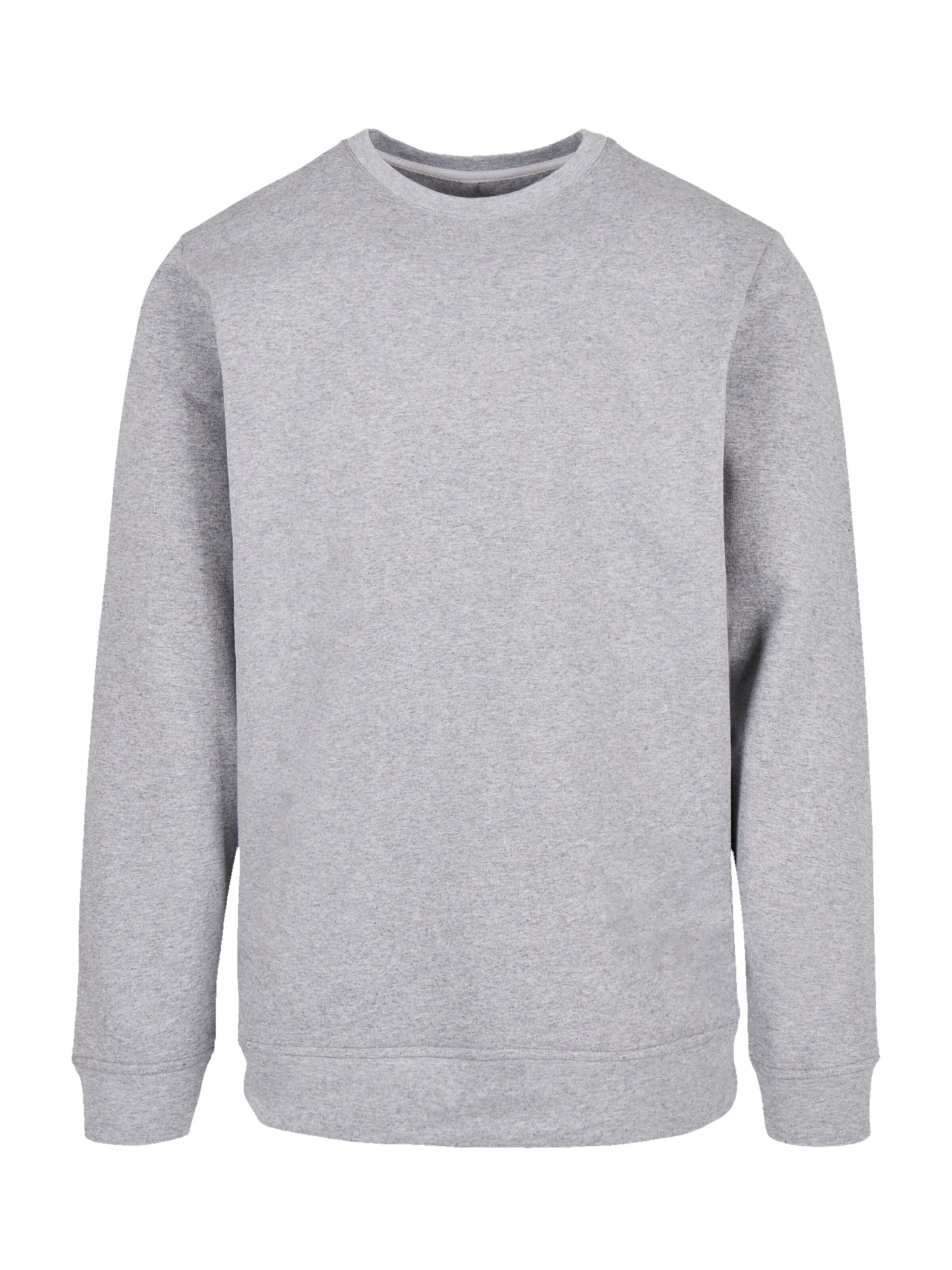 F4NT4STIC Sweatshirt in Grau: Vorderseite