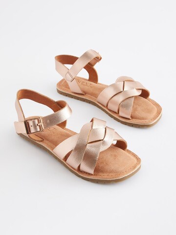 Next Sandals in Gold